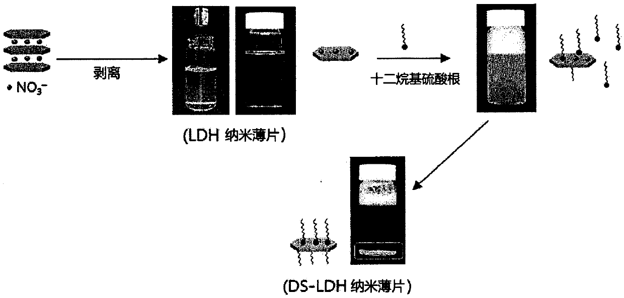 Composition for transdermal delivery, comprising nanoemulsion and modified layered double hydroxide