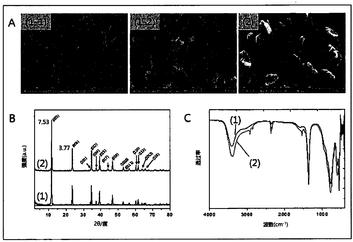 Composition for transdermal delivery, comprising nanoemulsion and modified layered double hydroxide