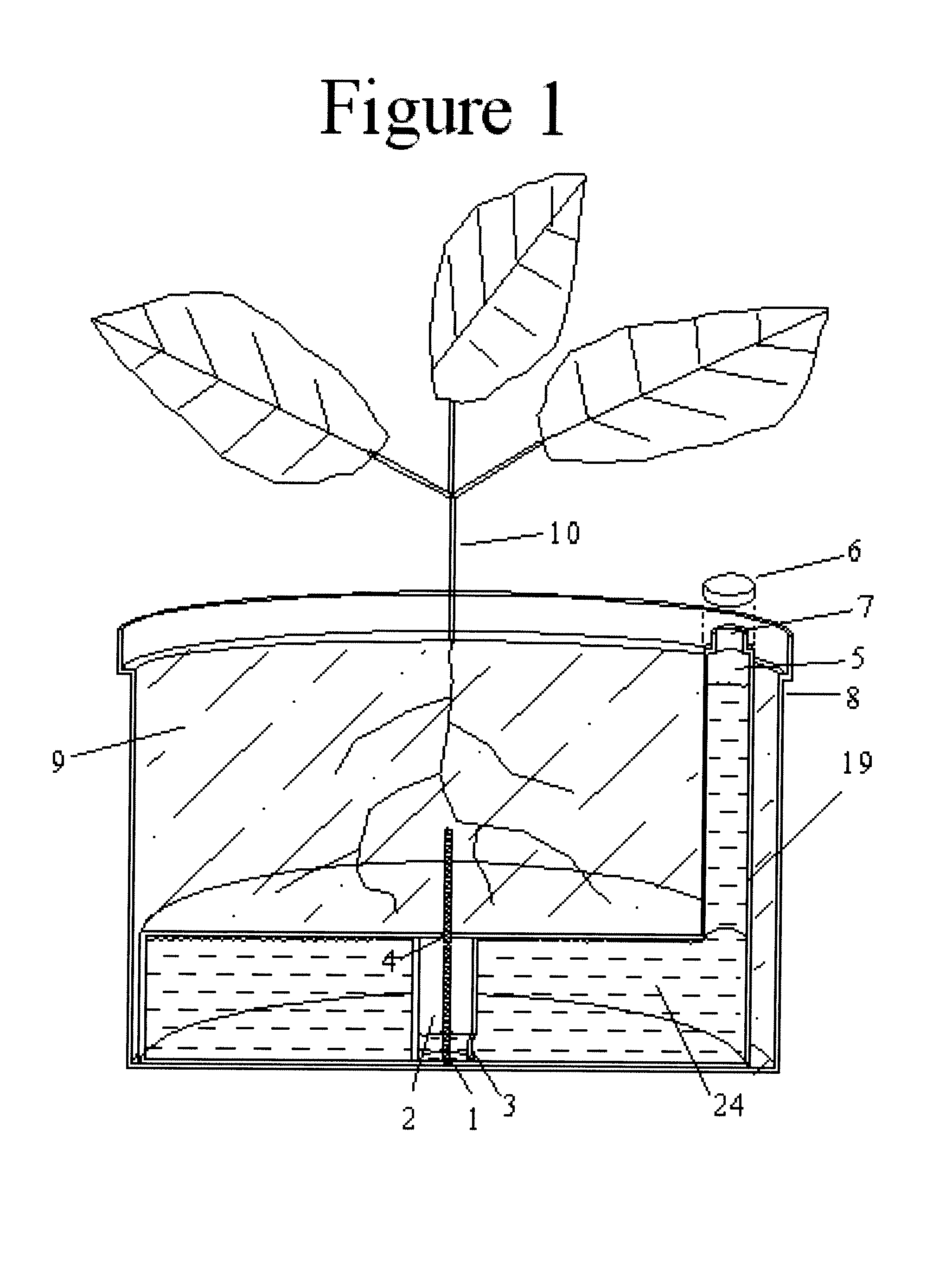 Self Watering Plant System