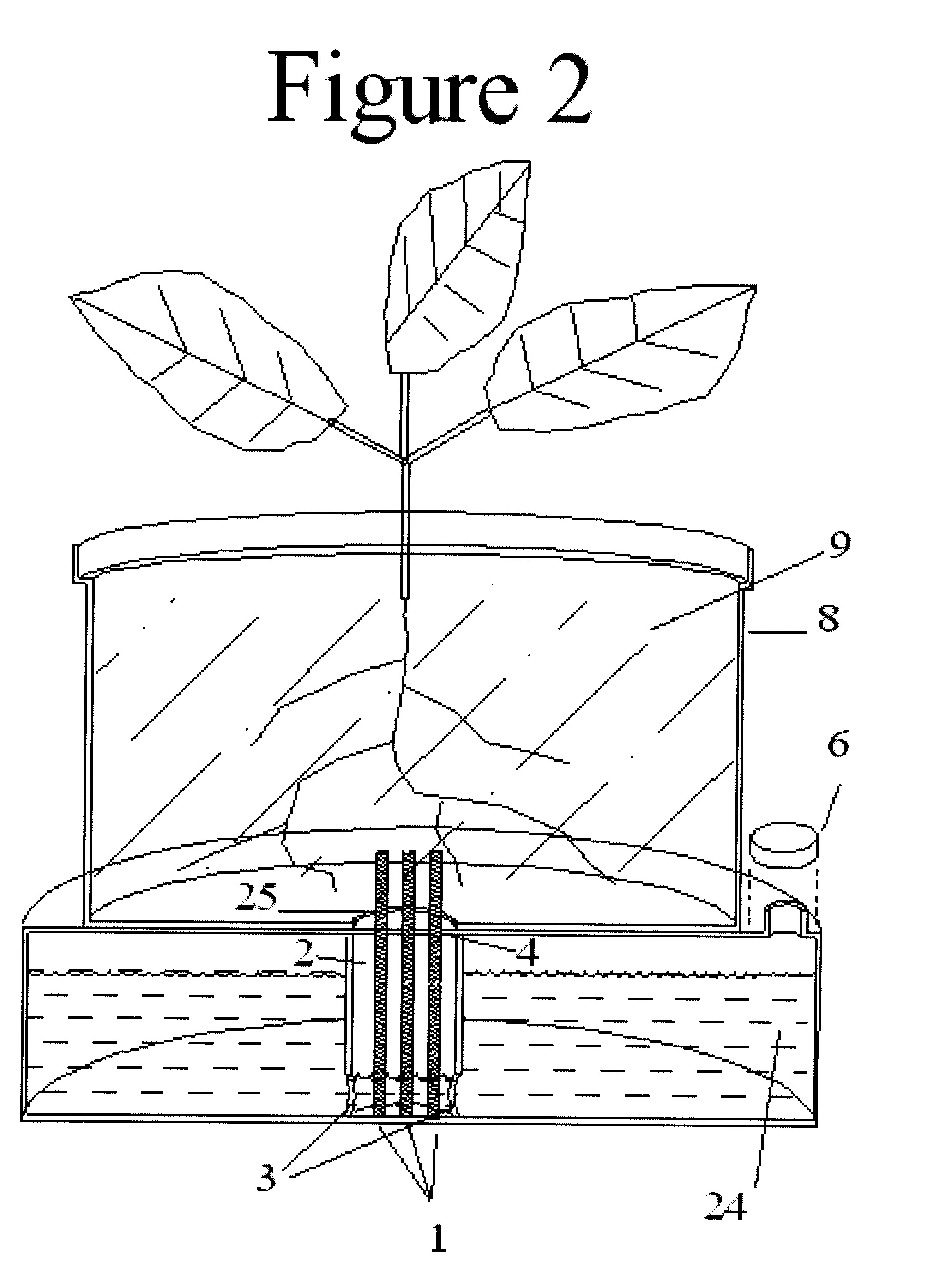 Self Watering Plant System