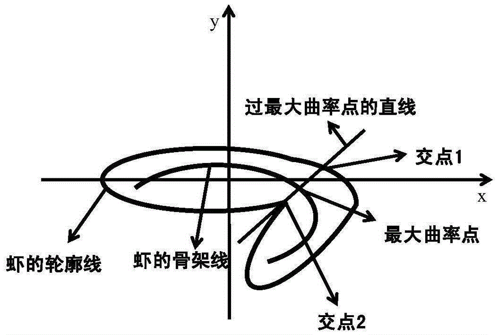 Method for automatically detecting integrity of shrimp body based on computer vision