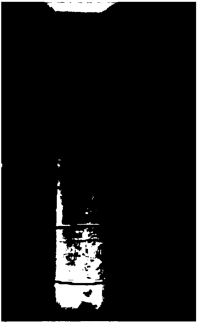 Anti-cracking unsaturated polyester paint and preparation method thereof