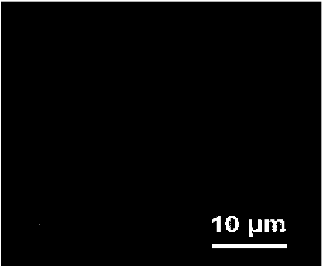 Porphyrin conjugate organic framework material and method for preparing same