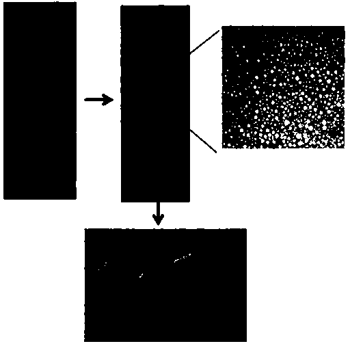 A kind of preparation method of magnetic porous molecularly imprinted polymer