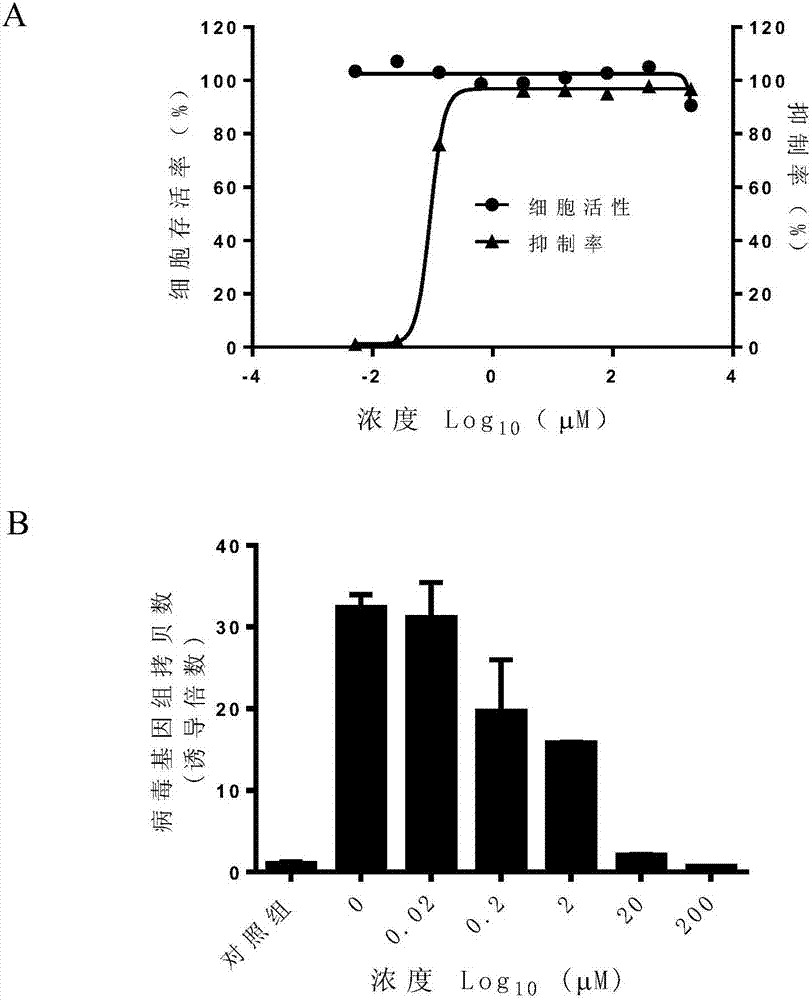 Application of lorarexed or pharmaceutically acceptable salt thereof in preparation of medicine for treating or preventing herpes virus infection