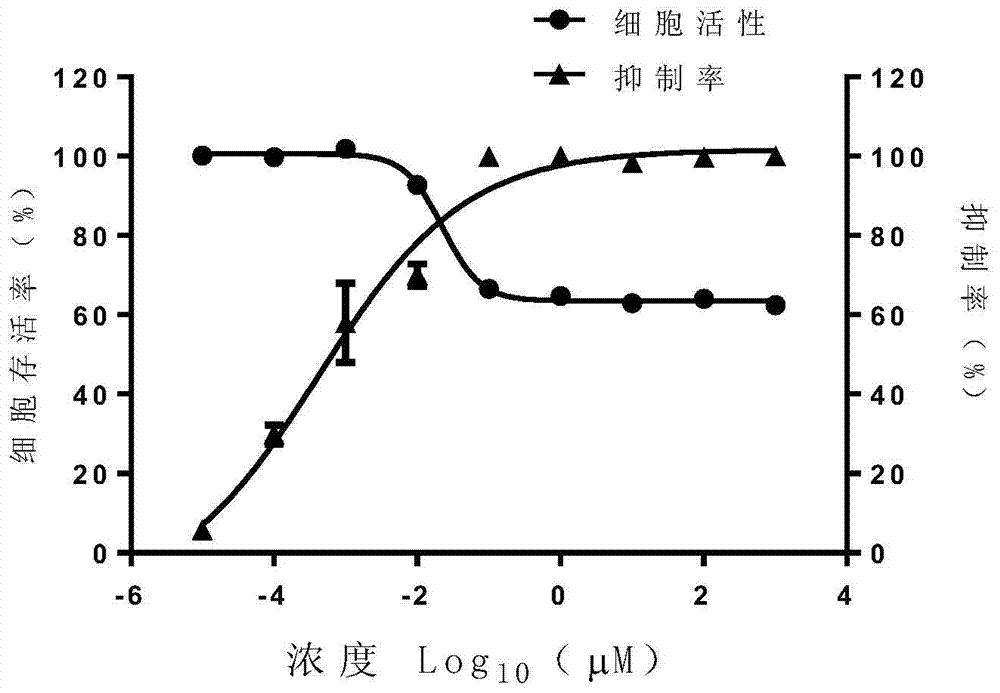 Application of lorarexed or pharmaceutically acceptable salt thereof in preparation of medicine for treating or preventing herpes virus infection