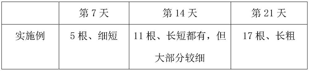 Technical method for lateral root induction of rhododendron lapponicum