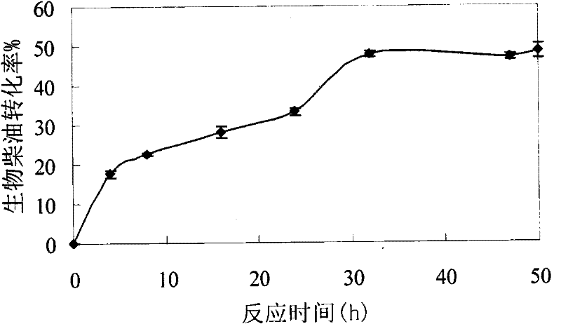 Preparation method of biodiesel from microalgal oil by enzyme method