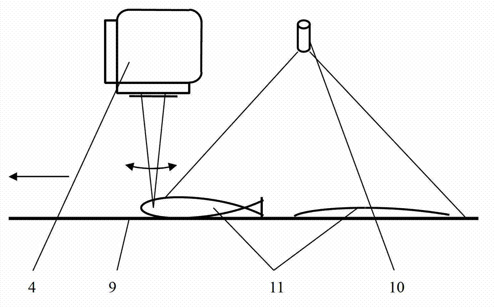 Irregular article laser mark tracking method, system, device and products