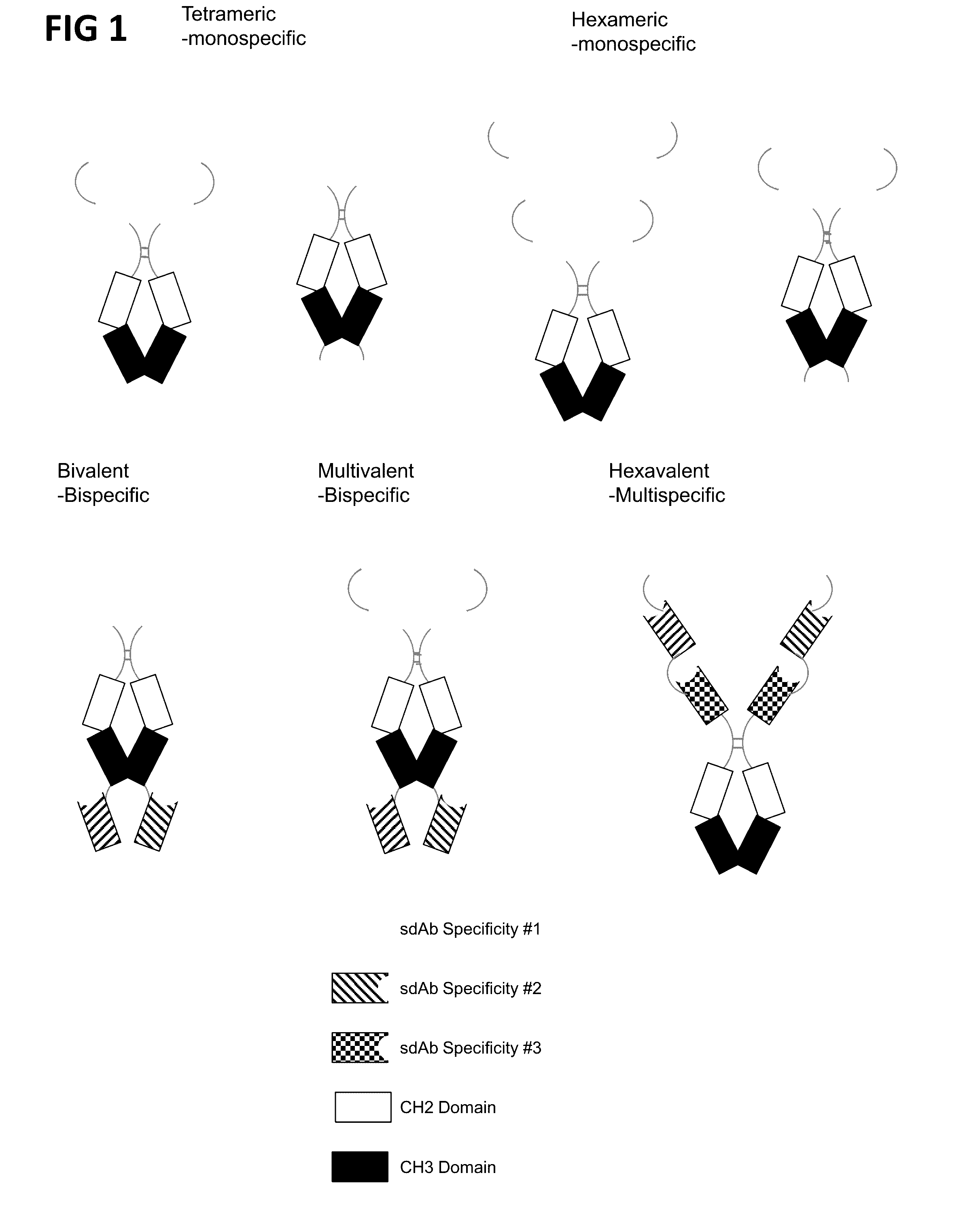 Multivalent and multispecific gitr-binding fusion proteins