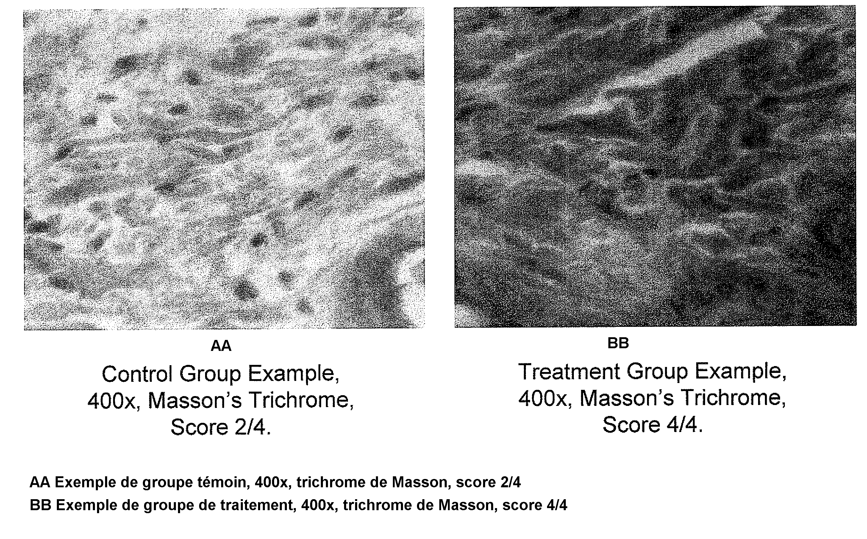 Peptide nanoparticles and uses therefor