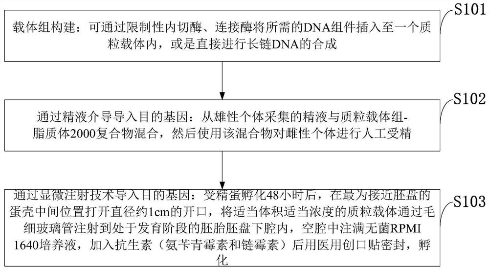 Gene editing method for plasmid vector group, dna group and foreign gene introduction