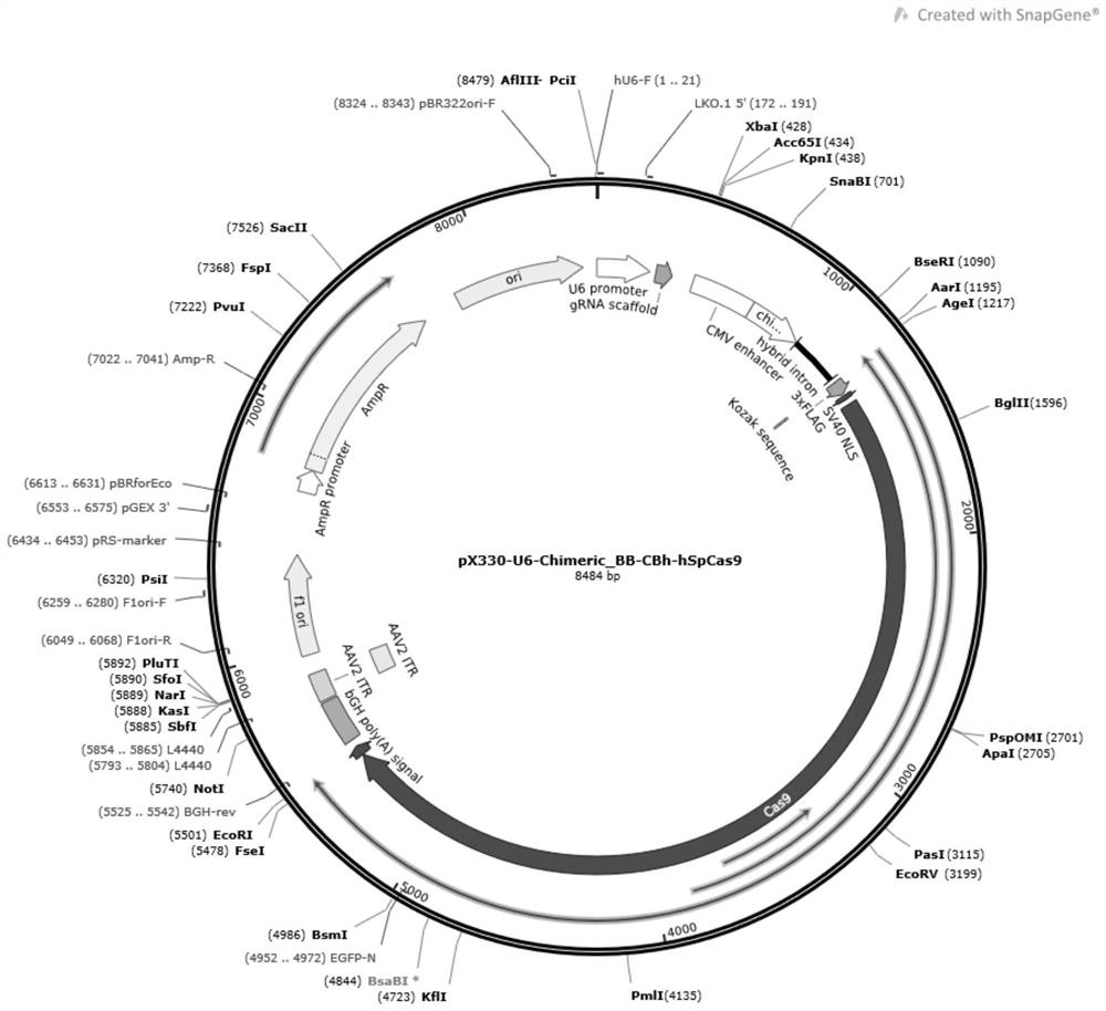 Gene editing method for plasmid vector group, dna group and foreign gene introduction