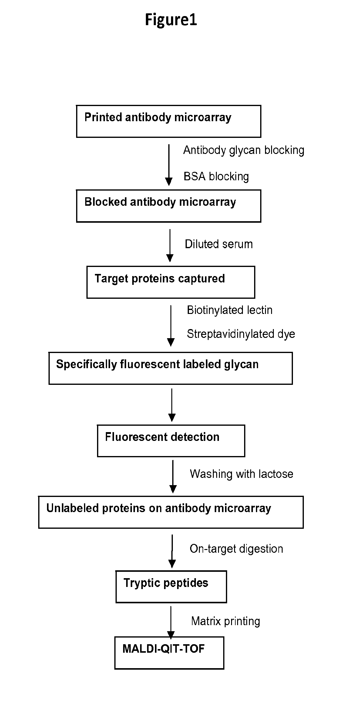 Pancreatic cancer markers