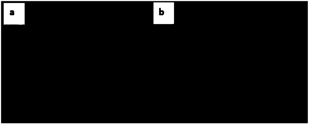 Preparation method of manganese-doped lithium iron phosphate electrode material