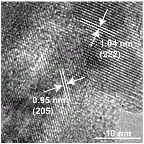 CoxPy porous nanometer sheet, and synthesis method and application thereof