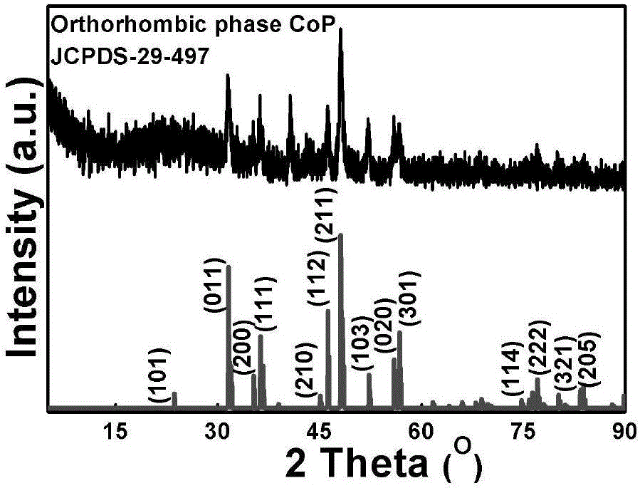 CoxPy porous nanometer sheet, and synthesis method and application thereof