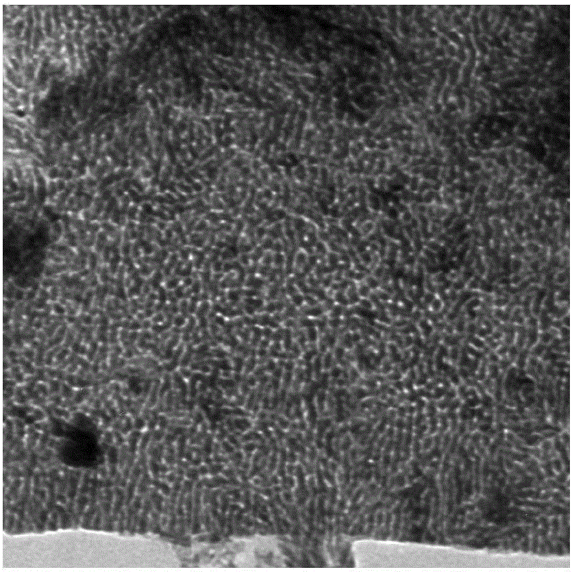 CoxPy porous nanometer sheet, and synthesis method and application thereof