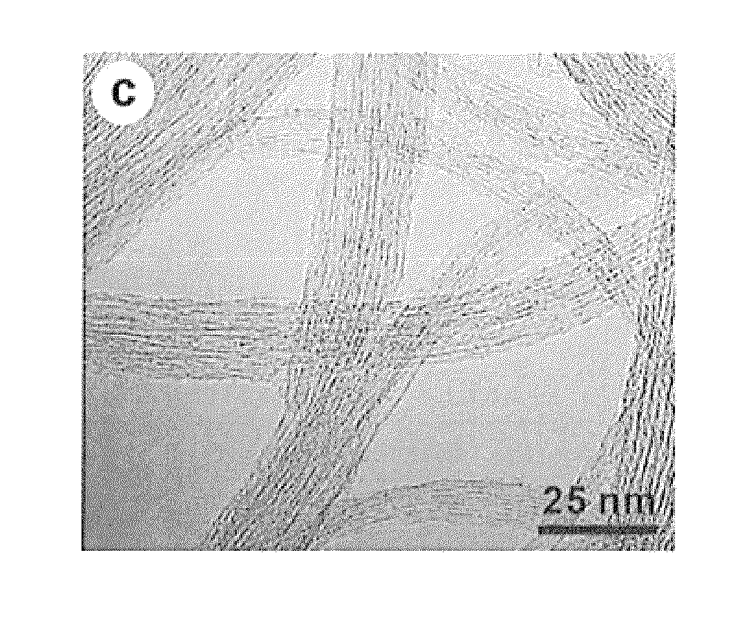 Nitrogen-containing carbon material and method of manufacturing the same