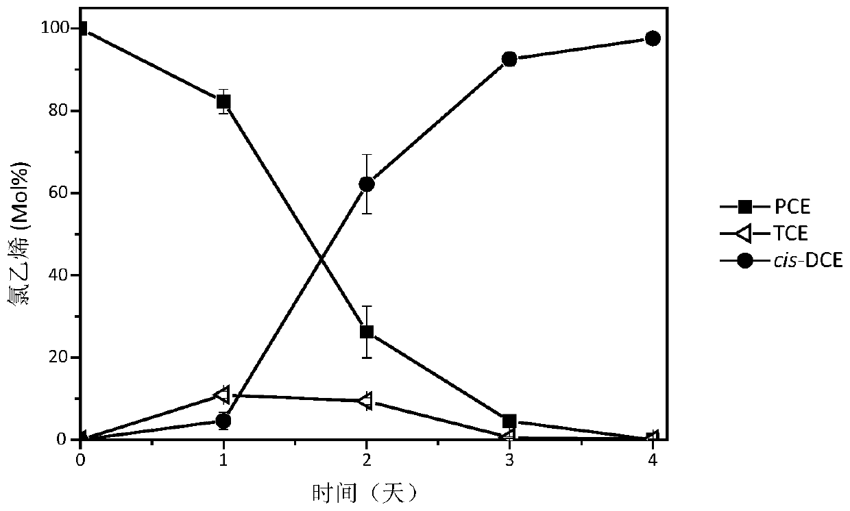 Geobacteraceae sulferreducens Geo-LYY strain for dehalogenation of halogenated organic compounds and dye decoloration and application thereof