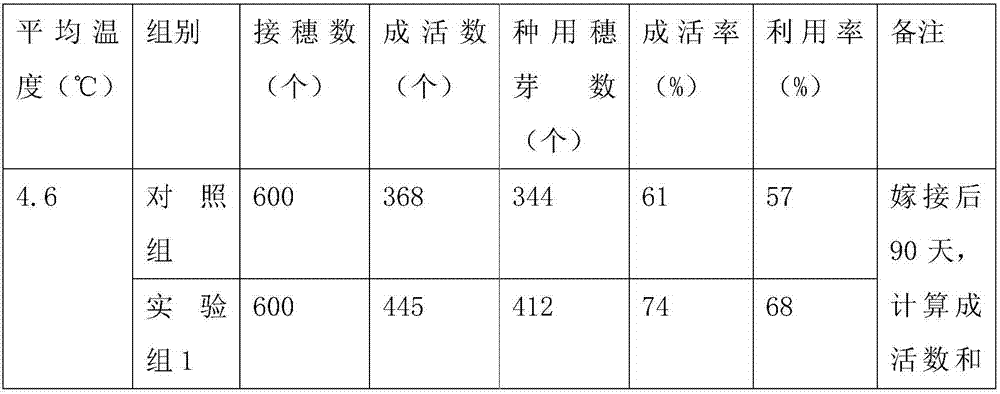 Method of using nutrient solution to graft kiwi fruit