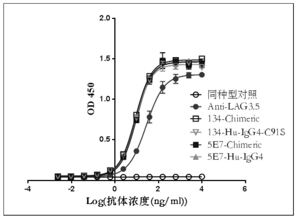 Antibody binding to human LAG-3 as well as preparation method and application of antibody