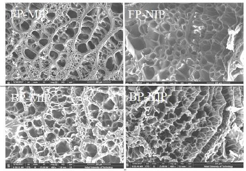 Frontal polymerization preparation method for thymopentin molecular imprinted hydrogel