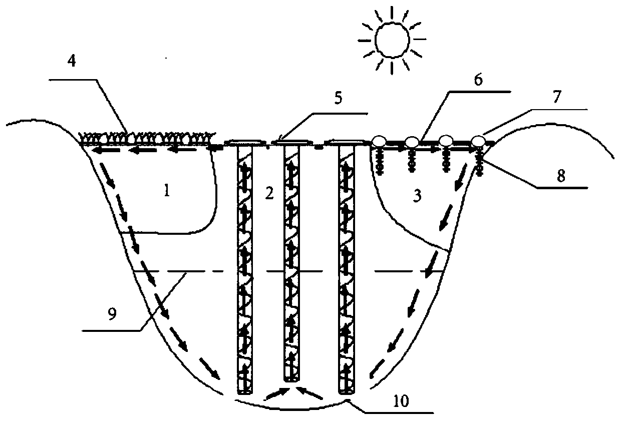 Physical-biological eutrophication water bloom treatment method applicable to deepwater reservoir