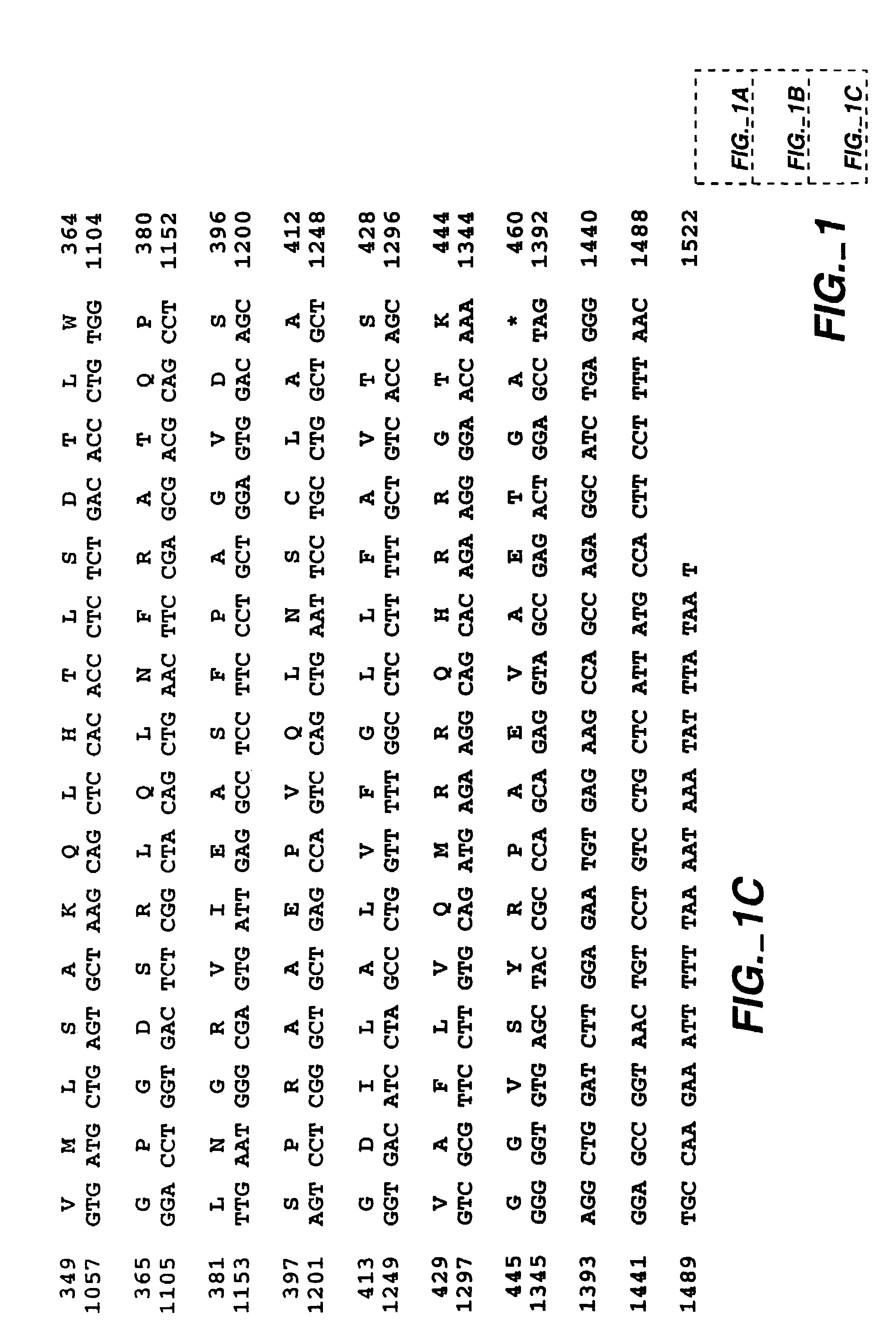 CA IX-specific inhibitors