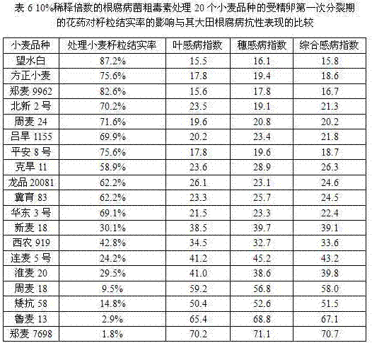 Breeding method for rapidly screening resistant varieties of wheat root rot by using root rot fungus crude toxin