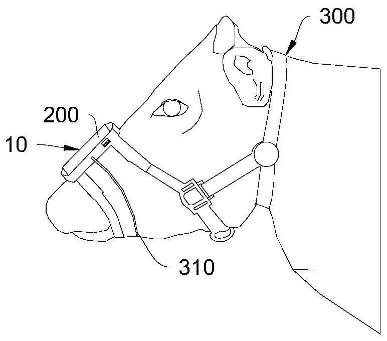 Livestock chewing detection device and intelligent pasture management system