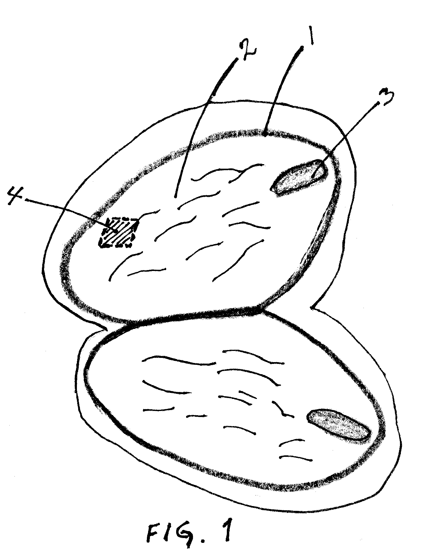 Tissue culture medium for Macadamia and Theobroma cacao