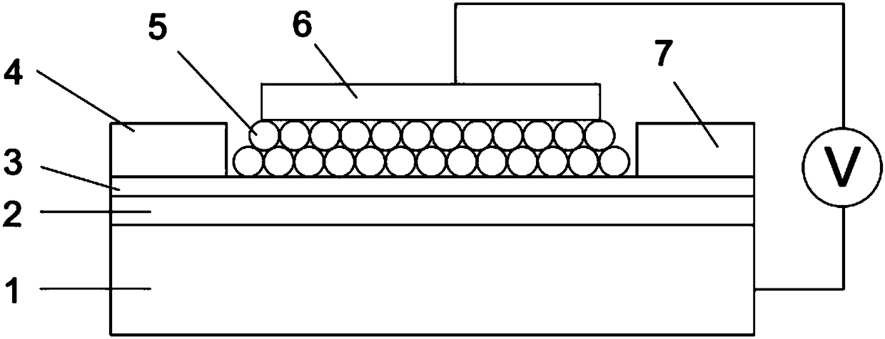 Quantum dot structure photoelectric detector and preparation method thereof