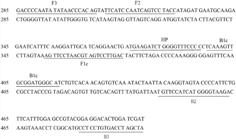 Loop-mediated isothermal amplification combined lateral flow test strip method for detecting carp spring viremia virus