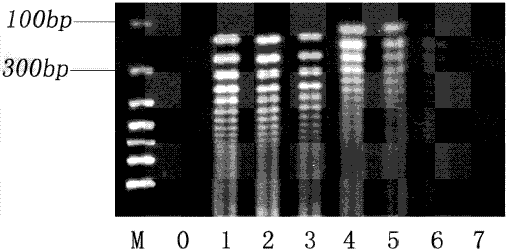 Loop-mediated isothermal amplification combined lateral flow test strip method for detecting carp spring viremia virus