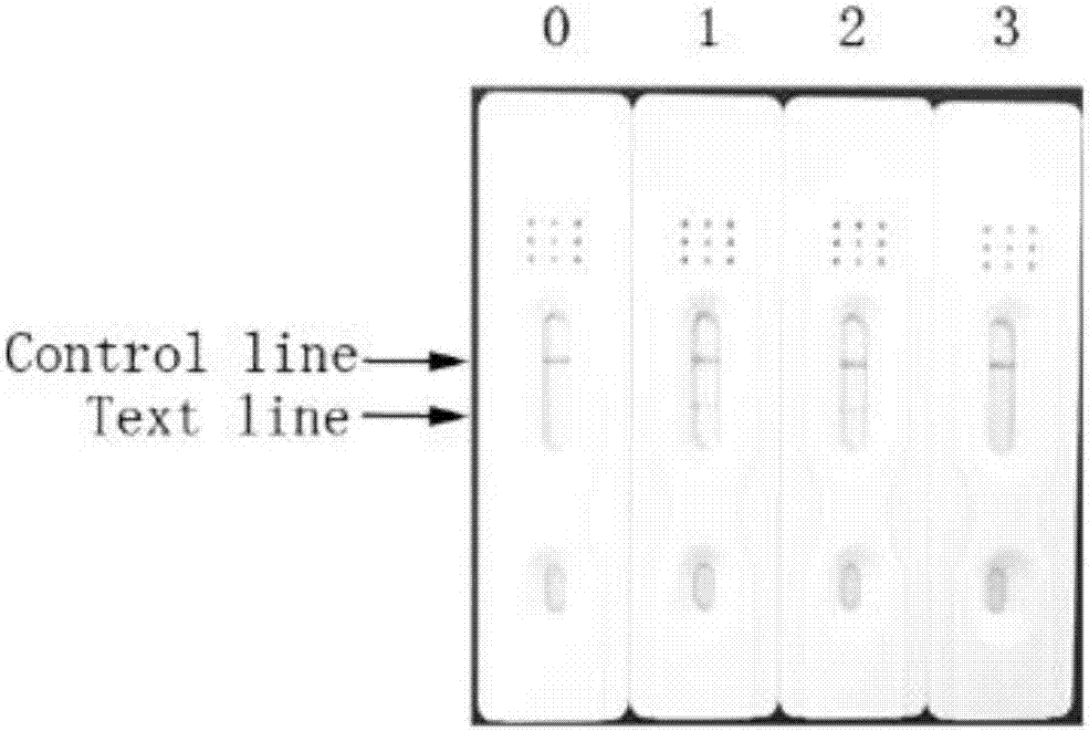 Loop-mediated isothermal amplification combined lateral flow test strip method for detecting carp spring viremia virus