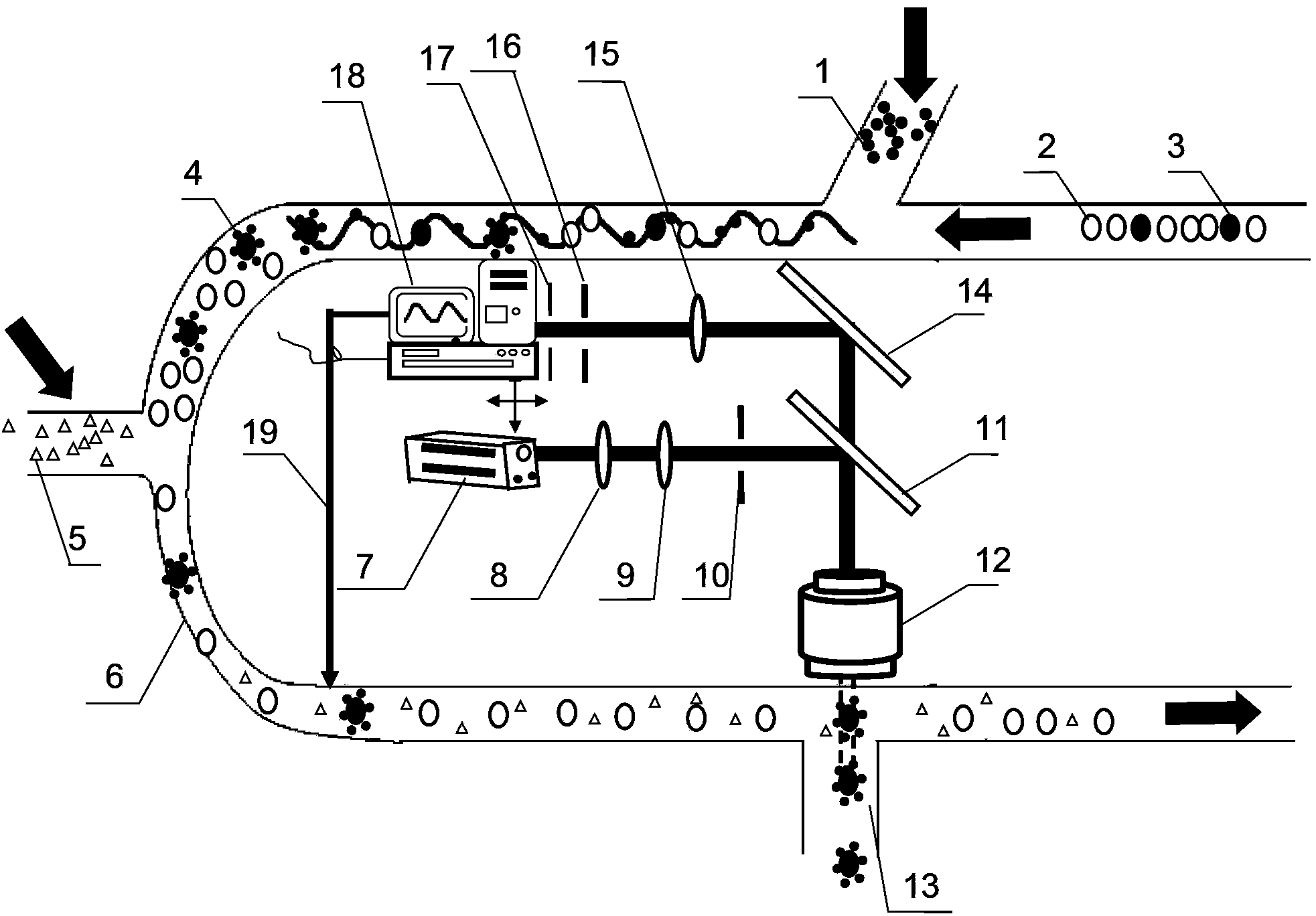 Microfluidic system and method for detecting and screening single beam biological cells