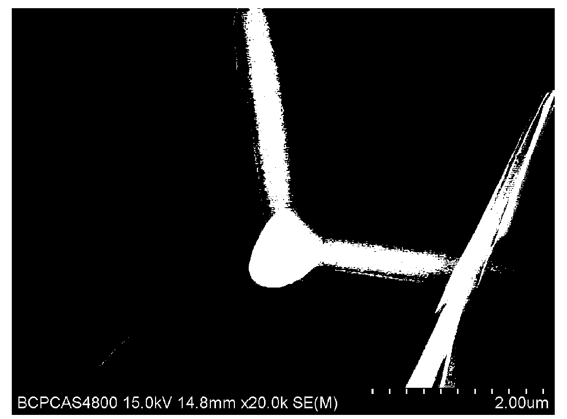 Tetrapod-like zinc oxide/graphene composite material and preparation method thereof