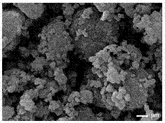 Preparation method of selenide/graphite-phase carbon nitride composite photocatalyst material