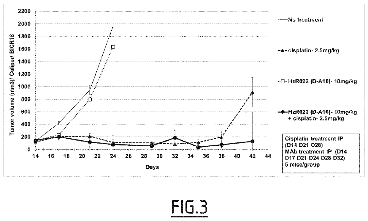 Treatment of ck8 positive cancers in relation with k-ras gene status