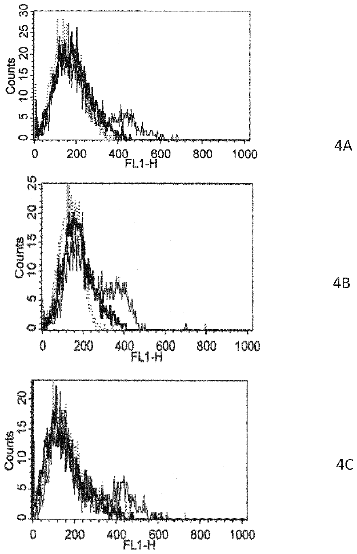 Treatment of ck8 positive cancers in relation with k-ras gene status