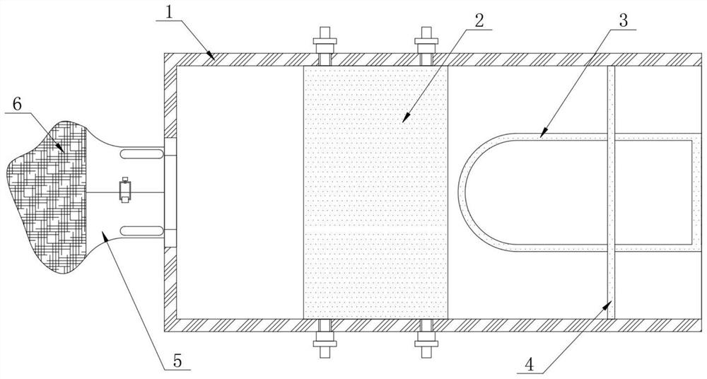 Injection fixing device for animal husbandry and veterinary medicine use