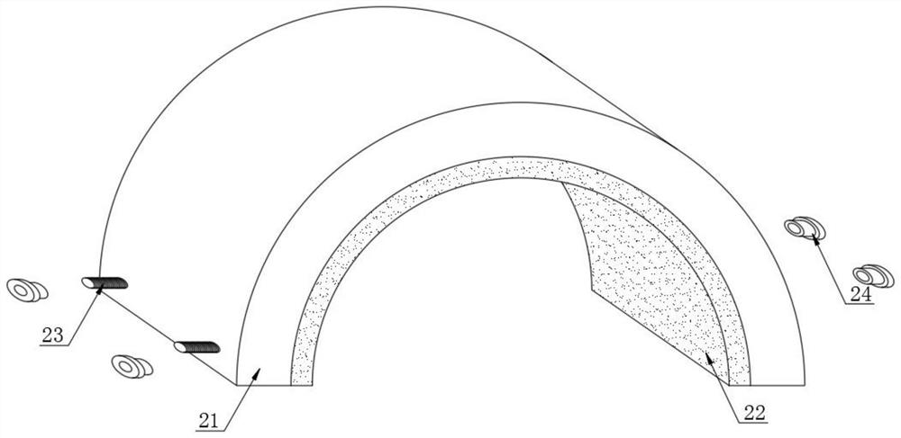 Injection fixing device for animal husbandry and veterinary medicine use