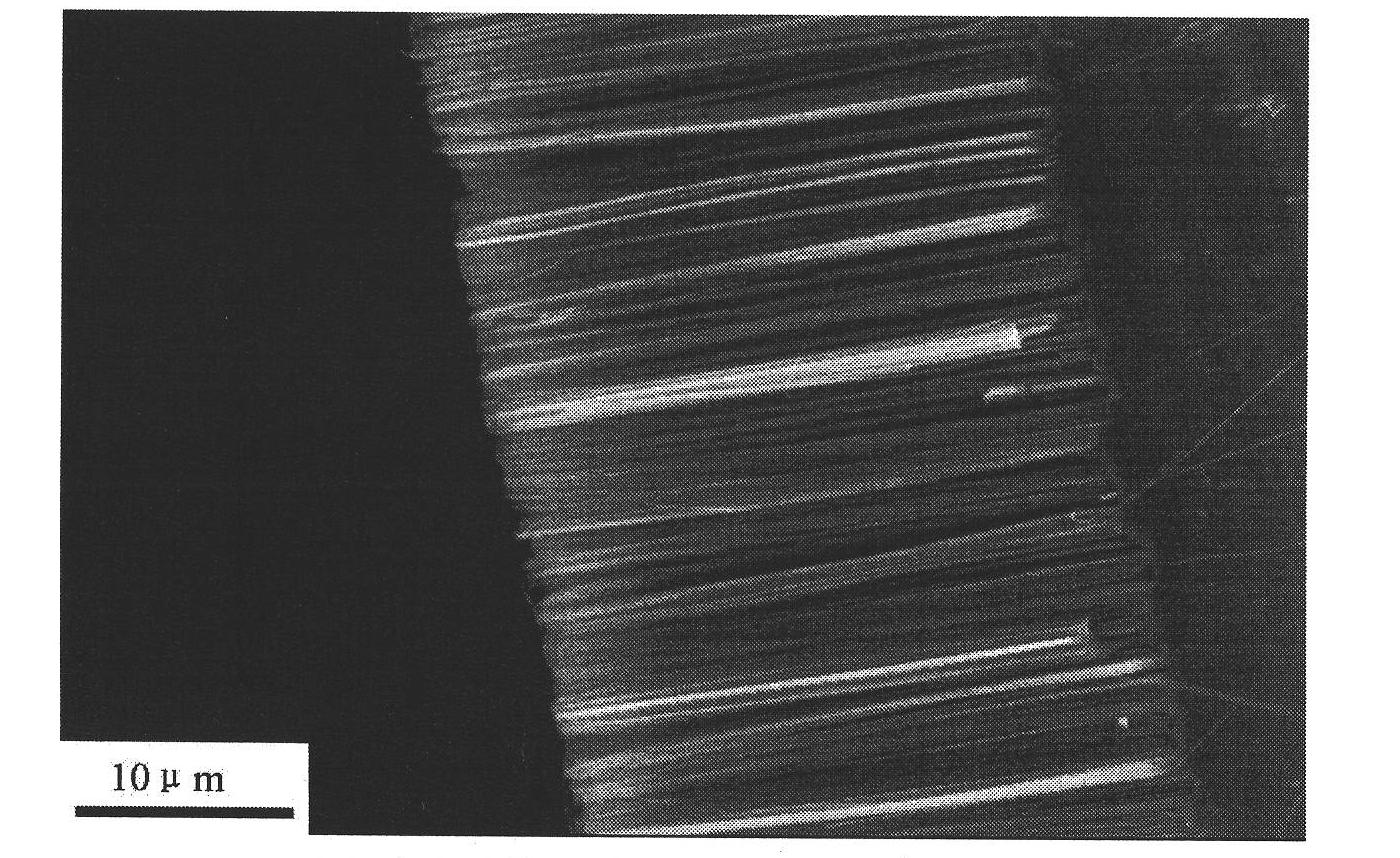 Enhanced Raman scattering substrates of silicon semiconductor and a manufacturing method and application for the same