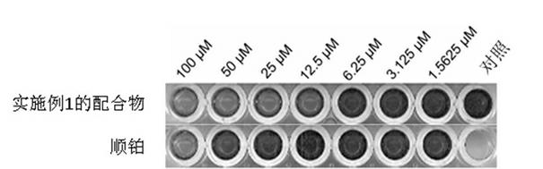 Organic hydridized tetra-core platinum complex and preparation method thereof as well as application technology field of complex in antitumor medicament preparation