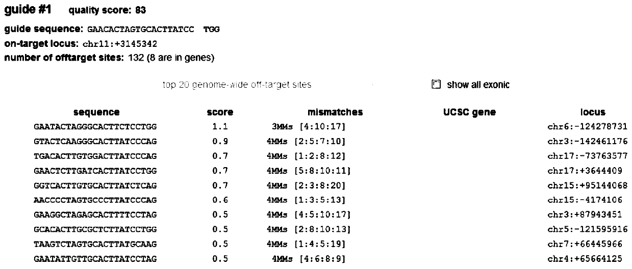 Construction method of mouse model with conditional over-expression of HPV E7 gene at H11 locus