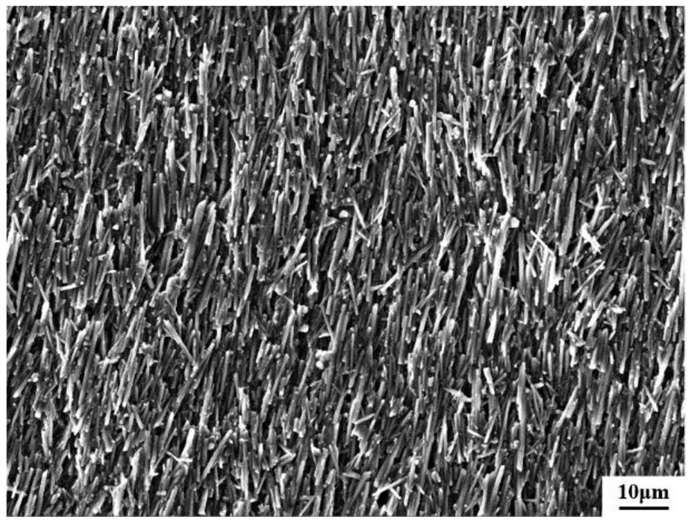 Method for preparing high-toughness high-temperature-resistant directionally-arranged silicon nitride monolithic porous ceramic