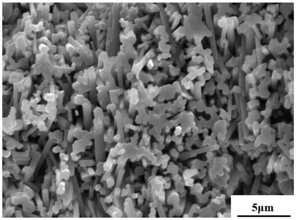 Method for preparing high-toughness high-temperature-resistant directionally-arranged silicon nitride monolithic porous ceramic