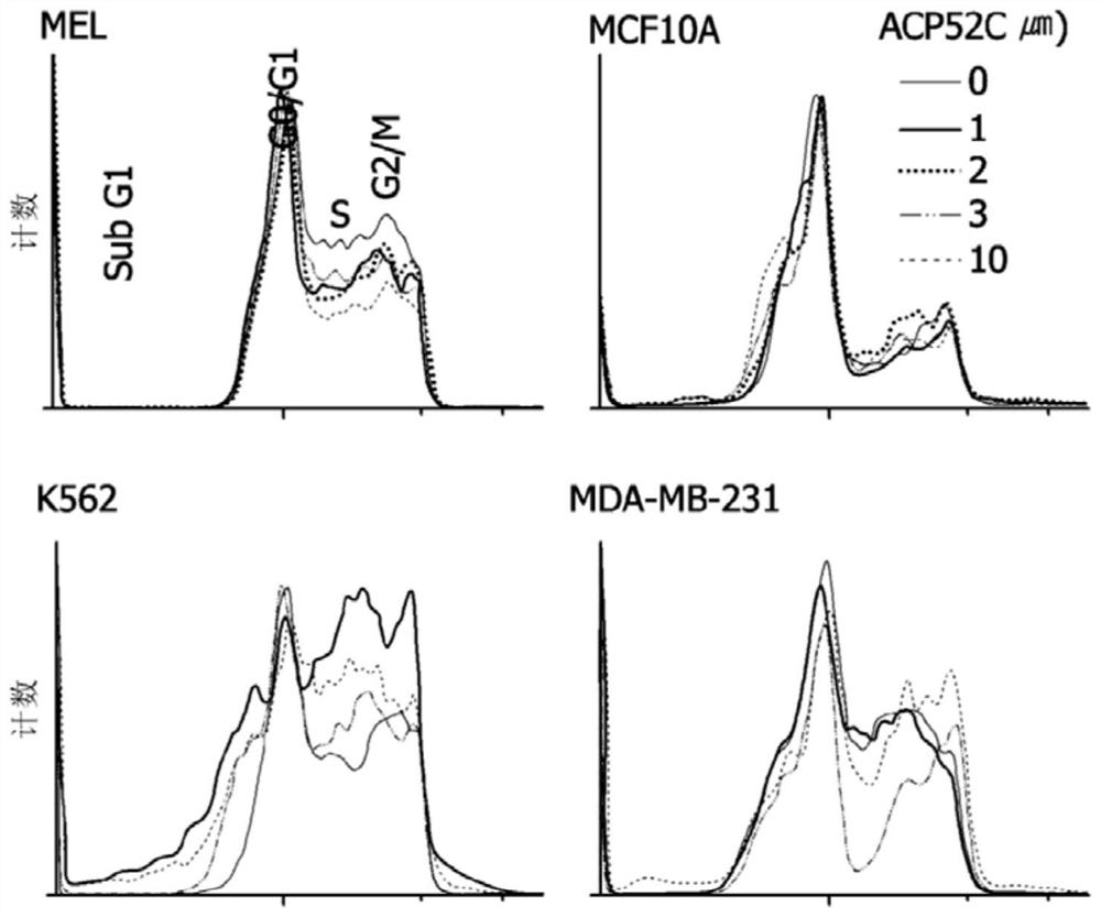 Cp2c-targeting peptide-based anticancer agent