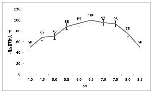 Bacillus subtilis for producing D-psicose as well as culture method and application thereof